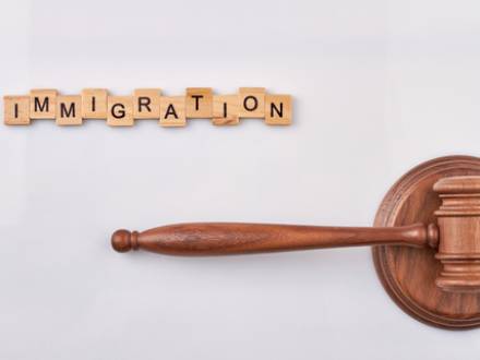Immigration Lawyers