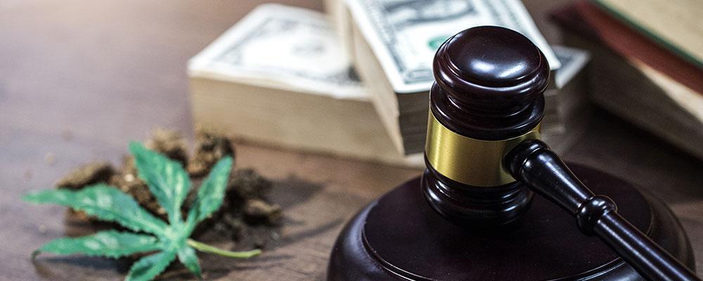 Elite Cannabis Law Attorney