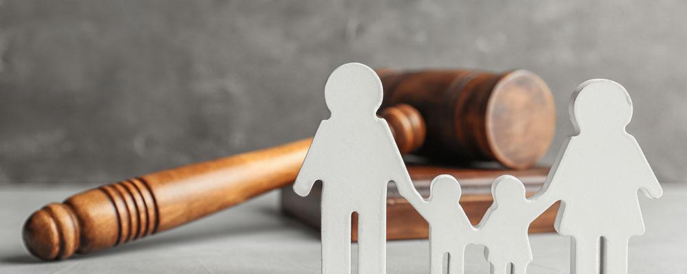 Elite Family Law Attorney