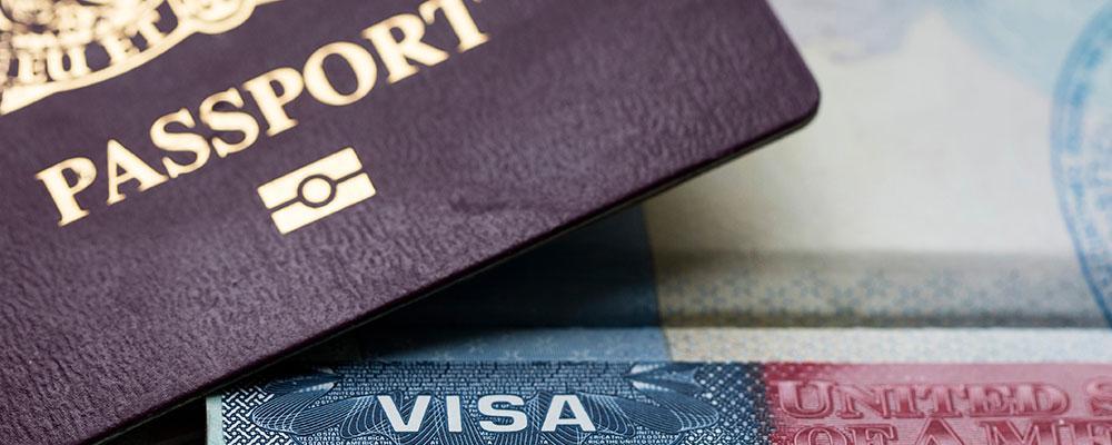 Elite Immigration Attorney