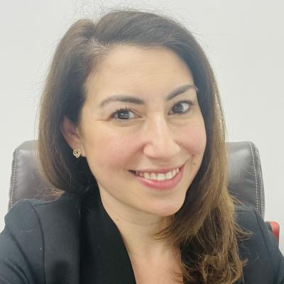 Emilee Gayle Wyner - Richmond Hill, NY - Elite Lawyer