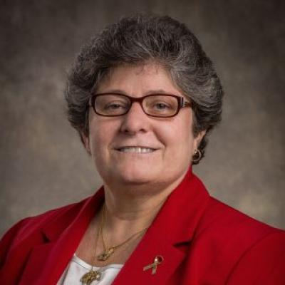 LeeAnn Massucci - Columbus, OH - Elite Lawyer